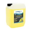 Artikelbild 1 des Artikels “Camasol-Schmutzlöser “