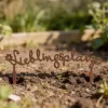 Artikelbild 2 des Artikels “Gartenstecker Lieblingsplatz “